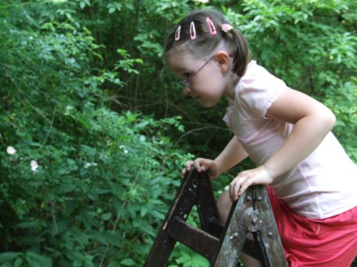 Dětský den - 1.6.2008